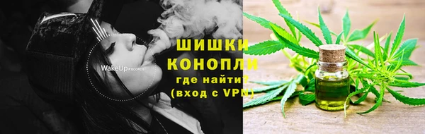 PSILOCYBIN Надым