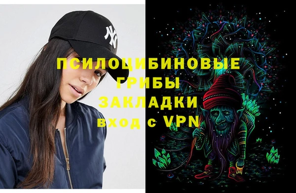 спайс Аркадак