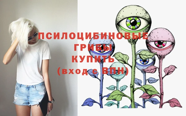 спайс Аркадак